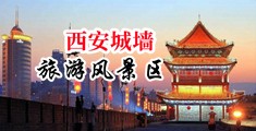 美女骚妇免费看中国陕西-西安城墙旅游风景区